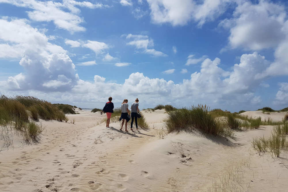 Texel Oud Nieuw Singlereis VillaVibes Singlereizen Weekenden